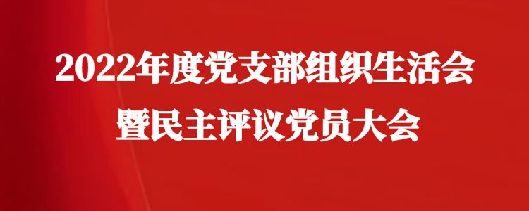 公司党支部召开组织生活会暨民主评议党员大会