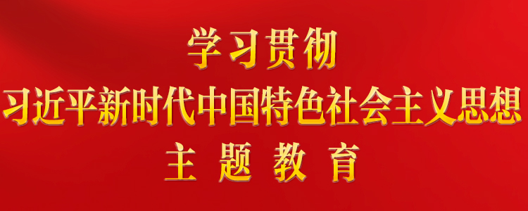 第二批学习贯彻习近平新时代中国特色社会主义思想主题教育中央巡回指导组培训会议召开